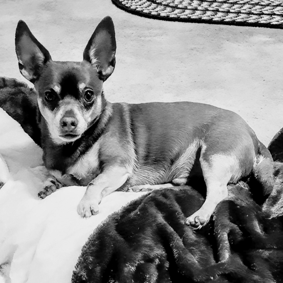 Meet your Posher, Judy - Picture 13 of 15